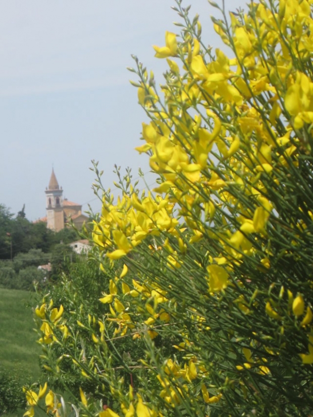 CONCERTO NELLA PARROCCHIA DI LIANO