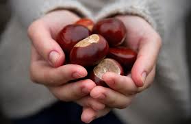 Le CASTAGNE nel DOLCE e nel SALATO