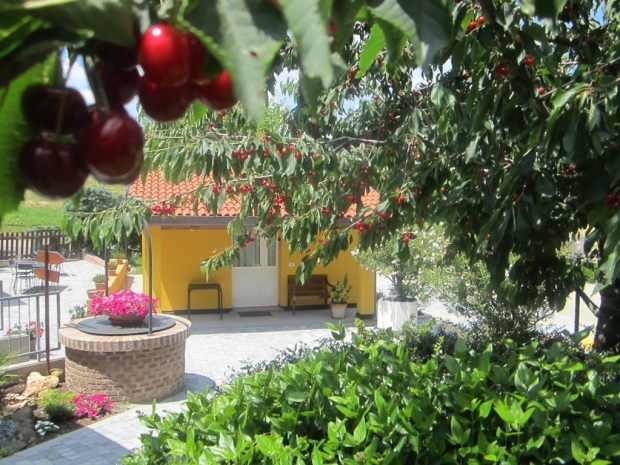 CASA VACANZE sulle colline di Castel San Pietro Terme